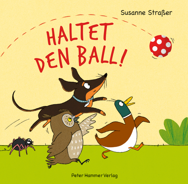 Haltet den Ball! main product photo