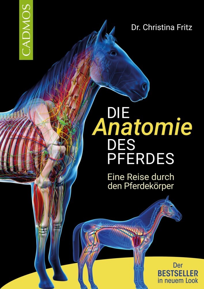 Die Anatomie des Pferdes main product photo