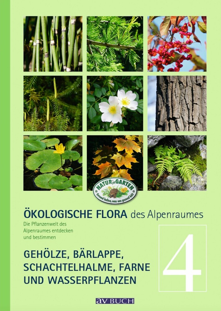 Ökologische Flora des Alpenraumes, Band 4 main product photo