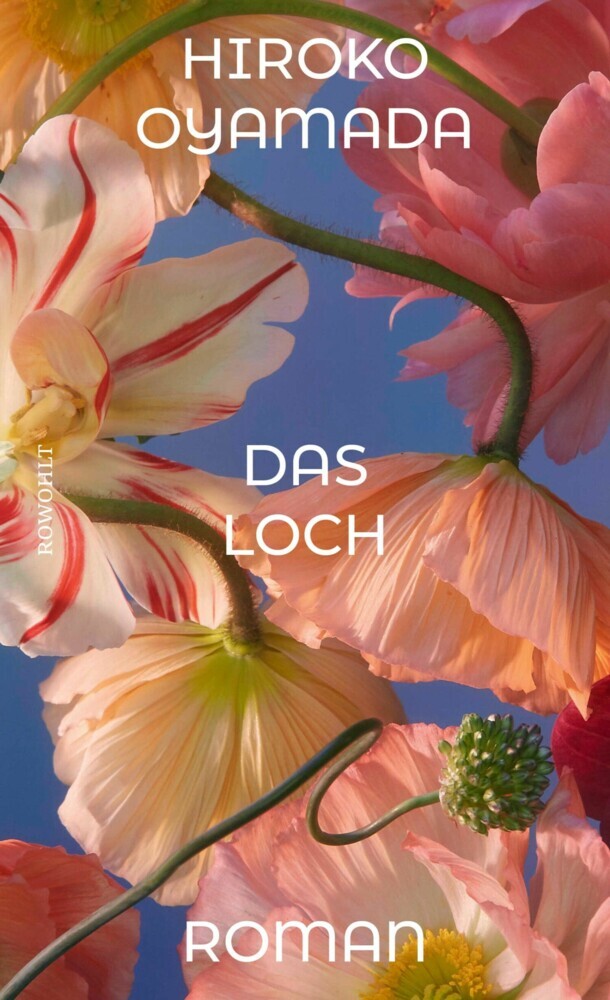 Das Loch main product photo