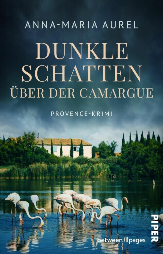 Dunkle Schatten über der Camargue main product photo