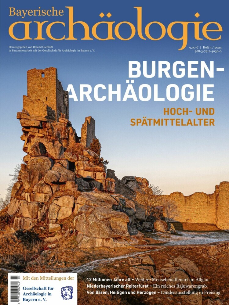 Burgenarchäologie main product photo