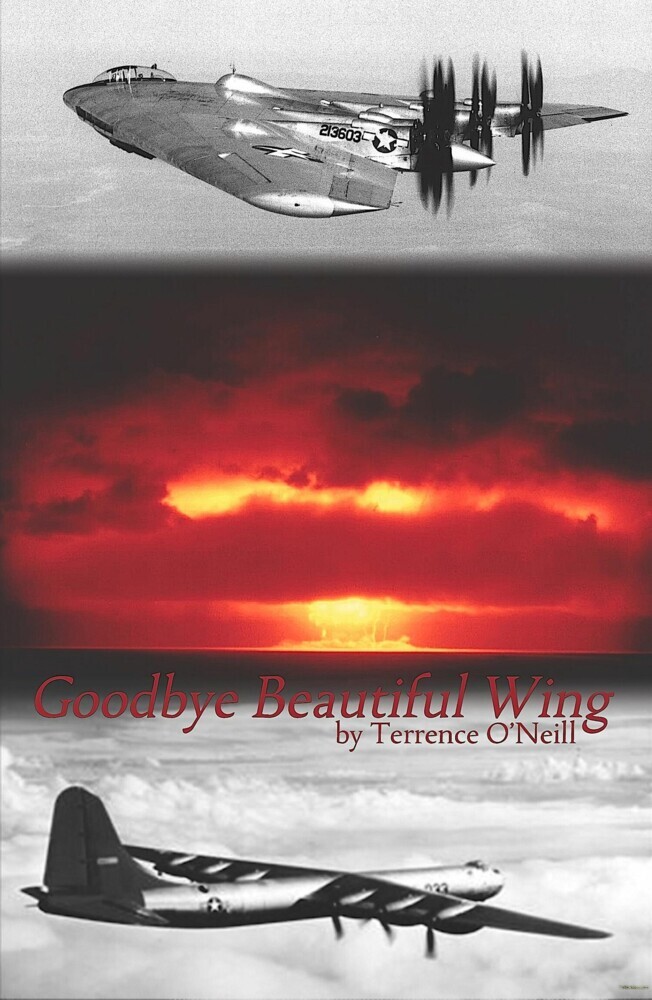Goodbye Beautiful Wing main product photo