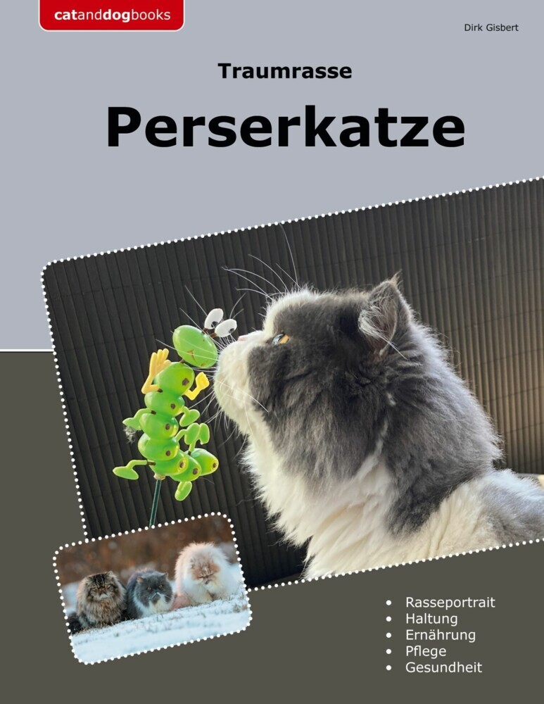 Traumrasse Perserkatze main product photo