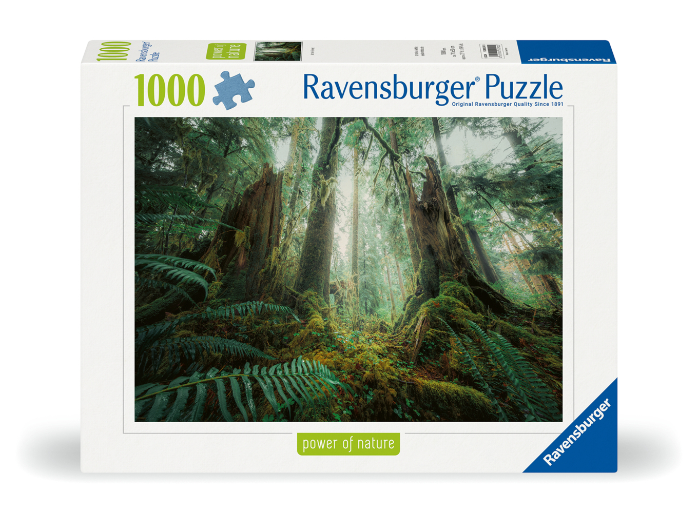 Faszinierender Wald main product photo