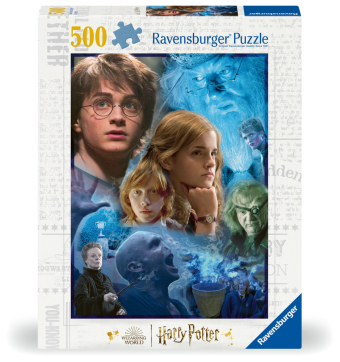 Harry Potter in Hogwarts