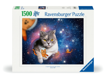 Katzen fliegen im Weltall