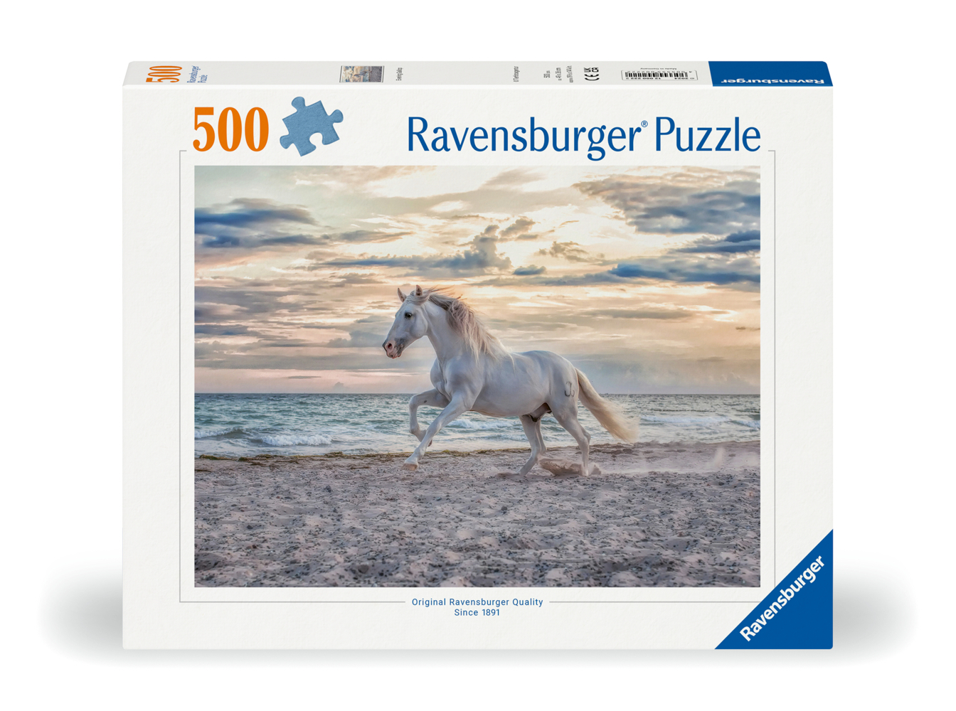 Pferd am Strand main product photo