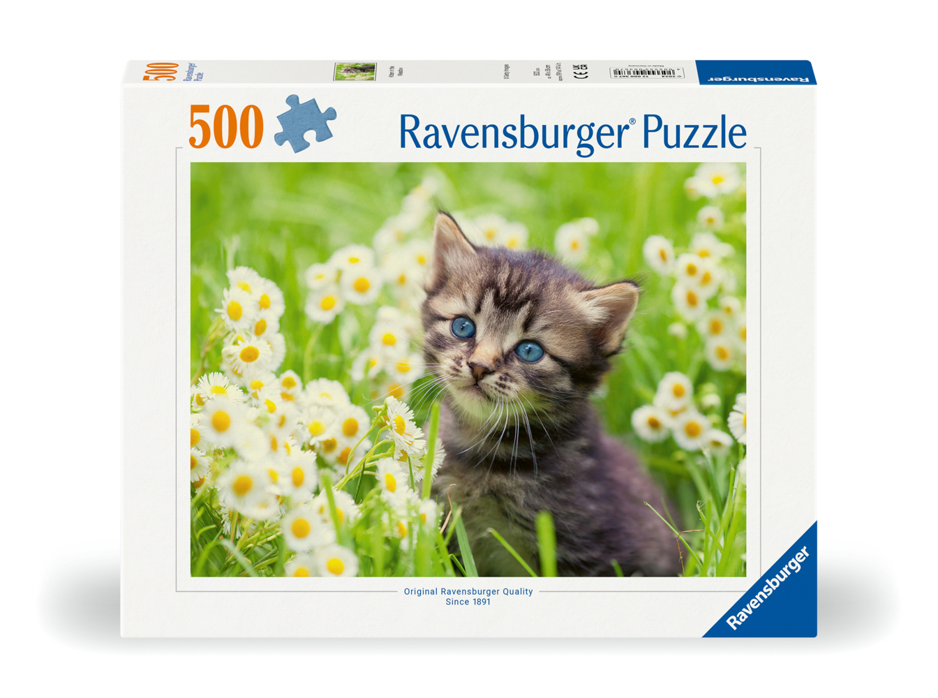 Kätzchen in der Wiese main product photo