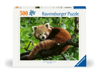 Süßer roter Panda
