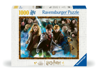 Der Zauberschüler Harry Potter