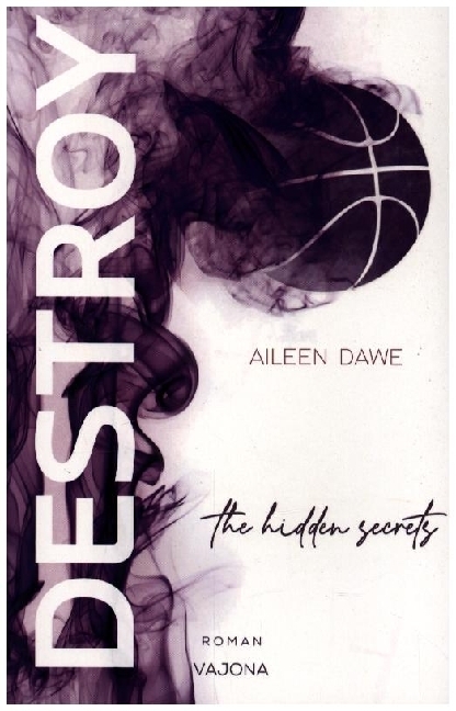 DESTROY the hidden secrets (DESTROY-Reihe 1) main product photo