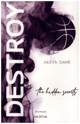 DESTROY the hidden secrets (DESTROY-Reihe 1)