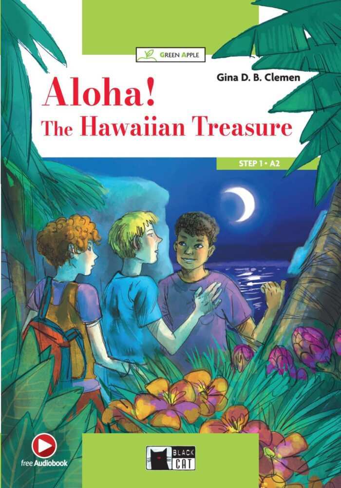 Aloha! The Hawaiian Treasure main product photo