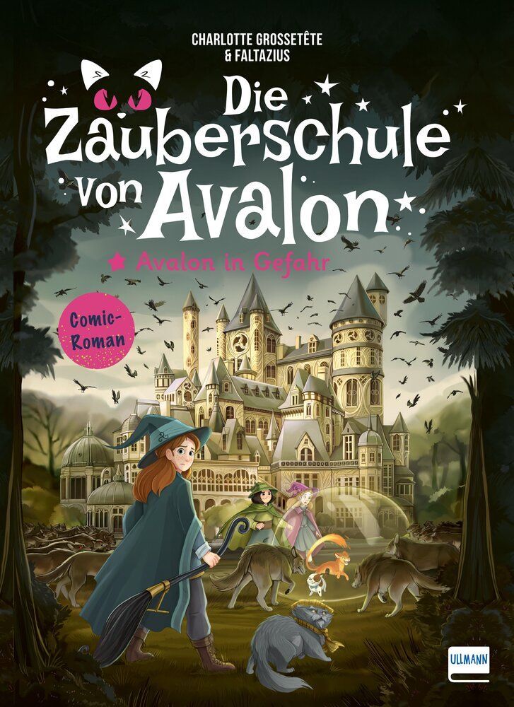Die Zauberschule von Avalon - Avalon in Gefahr main product photo