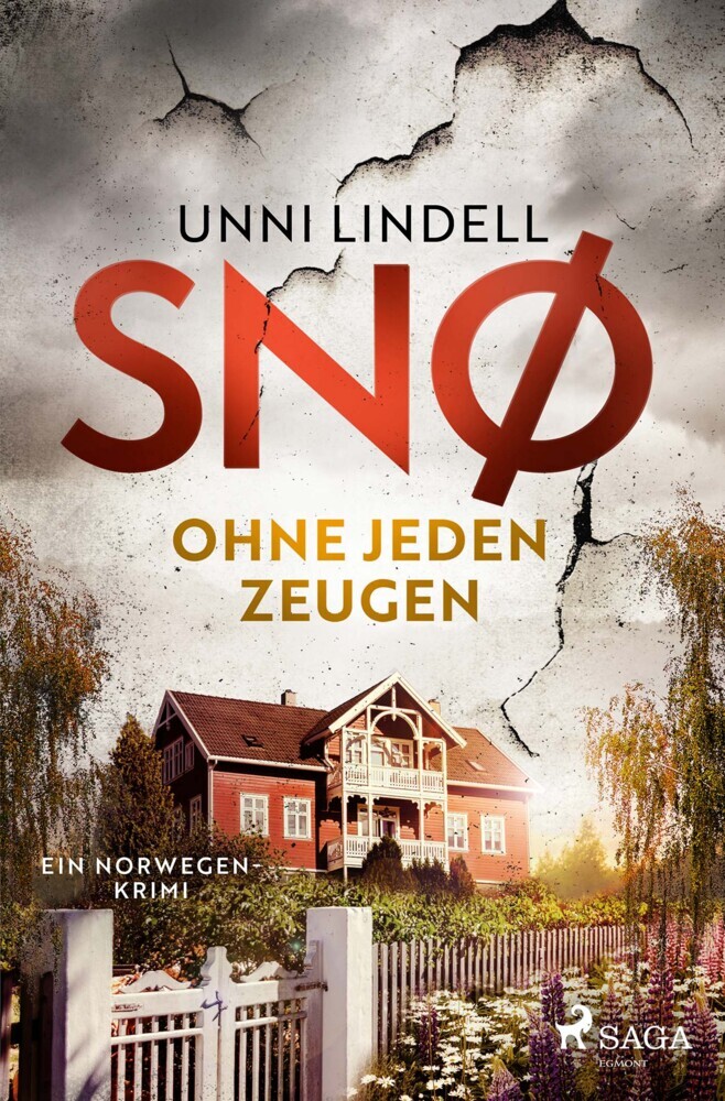 Snø - Ohne jeden Zeugen: Ein Fall für Snø main product photo