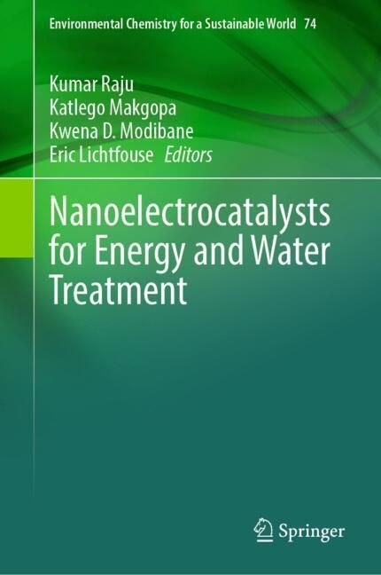 Nanoelectrocatalysts for Energy and Water Treatment main product photo