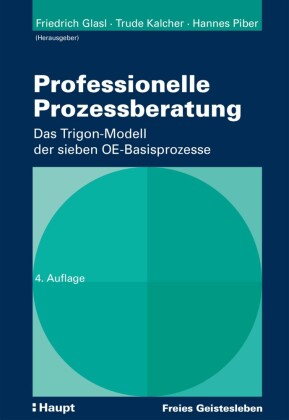 Professionelle Prozessberatung