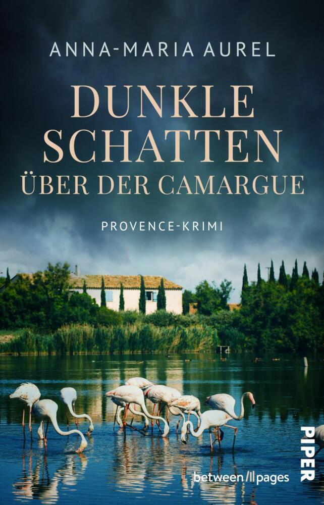 Dunkle Schatten über der Camargue main product photo
