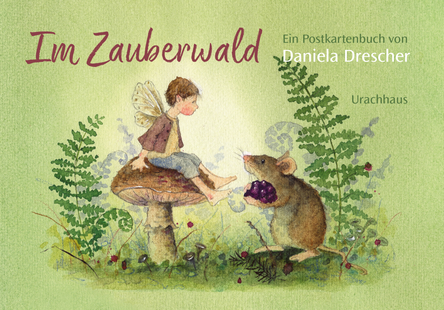 Postkartenbuch »Im Zauberwald« main product photo