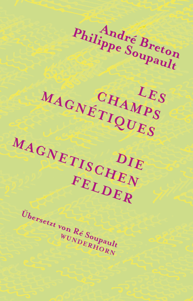 Die magnetischen Felder main product photo