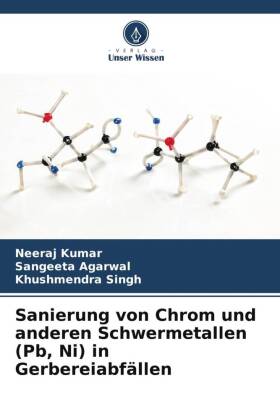 Sanierung von Chrom und anderen Schwermetallen (Pb, Ni) in Ger...