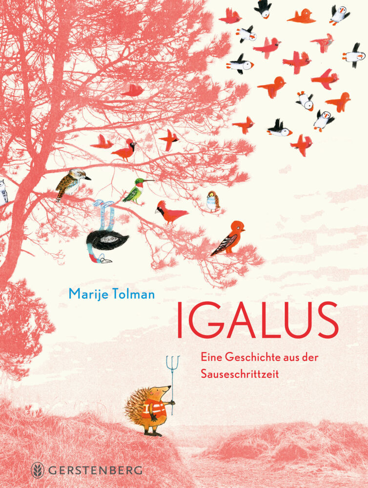 Igalus main product photo