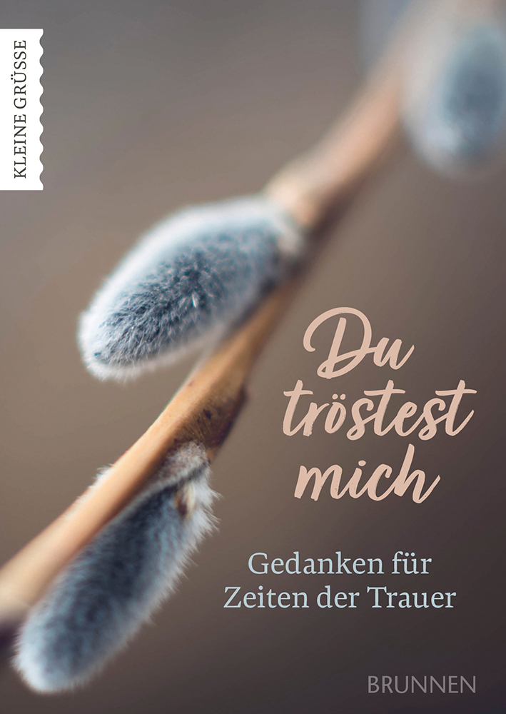 Du tröstest mich main product photo