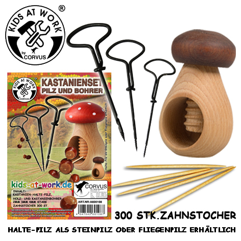 Kastanienset Pilz und Bohrer main product photo