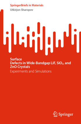 Surface Defects in Wide-Bandgap LiF, SiO2, and ZnO Crystals