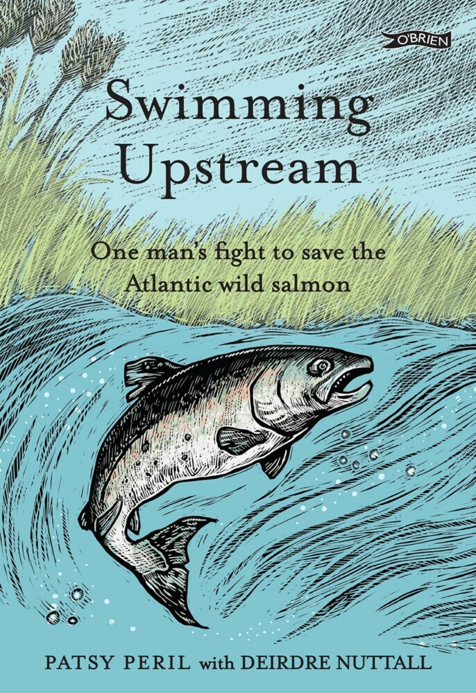 Swimming Upstream main product photo