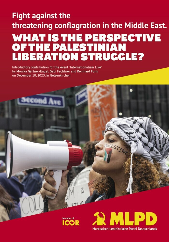 What is the perspective of the palestinian liberation struggle? main product photo