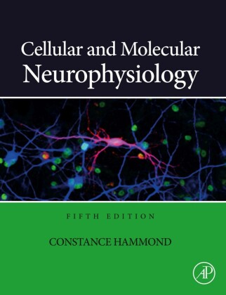 Cellular and Molecular Neurophysiology