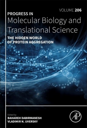 The Hidden World of Protein Aggregation