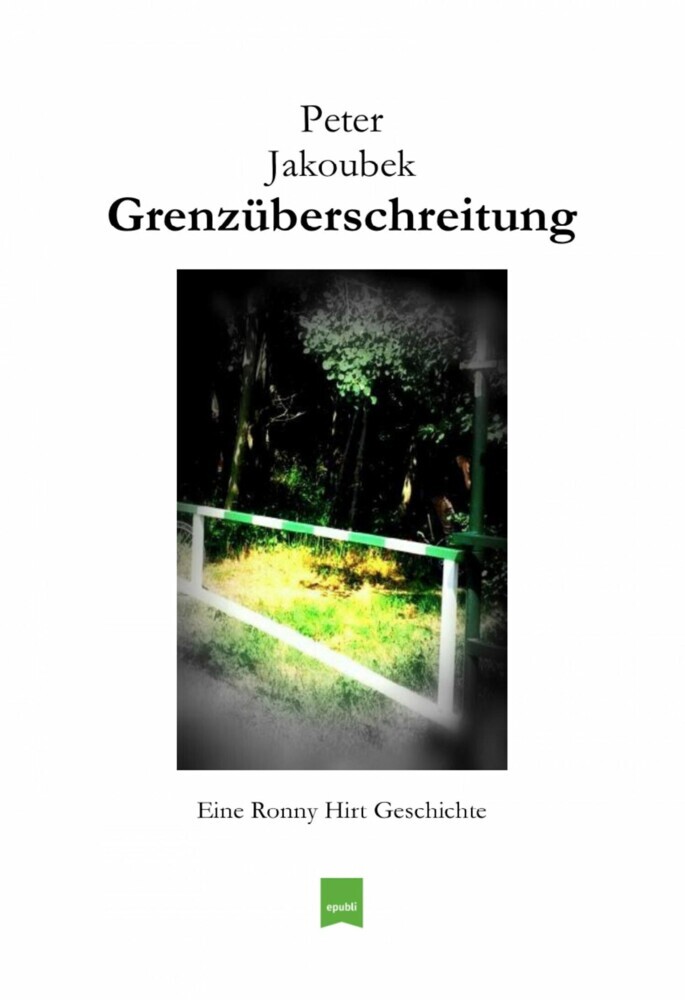 Grenzüberschreitung - Eine Ronny Hirt Geschichte main product photo
