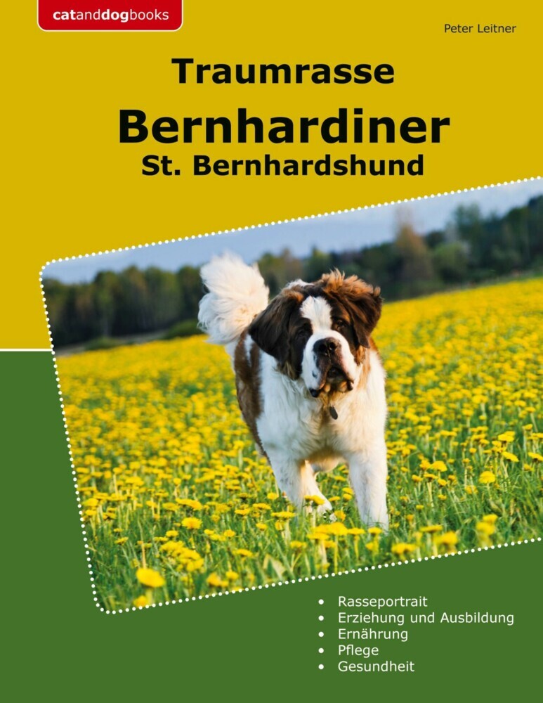 Traumrasse Bernhardiner main product photo