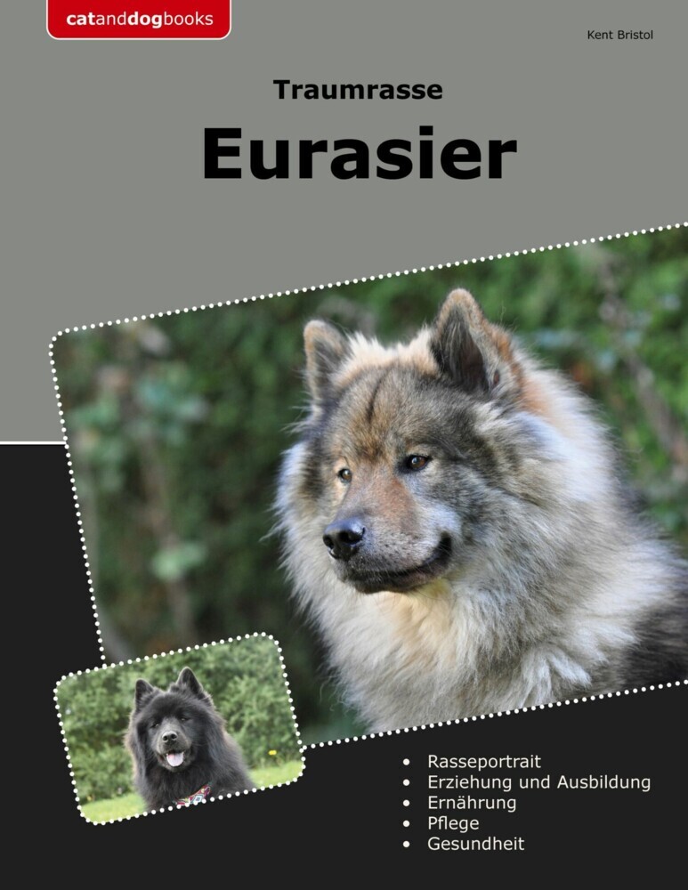 Traumrasse Eurasier main product photo