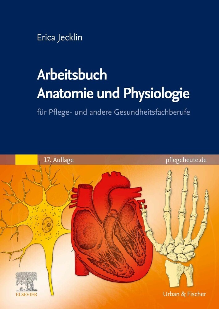 Arbeitsbuch Anatomie und Physiologie main product photo
