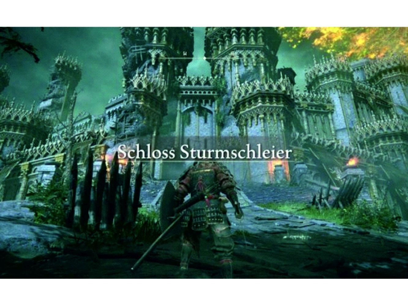 4009803002606