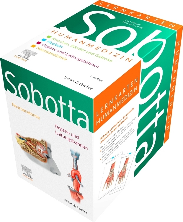 Sobotta Lernkarten Humanmedizin main product photo