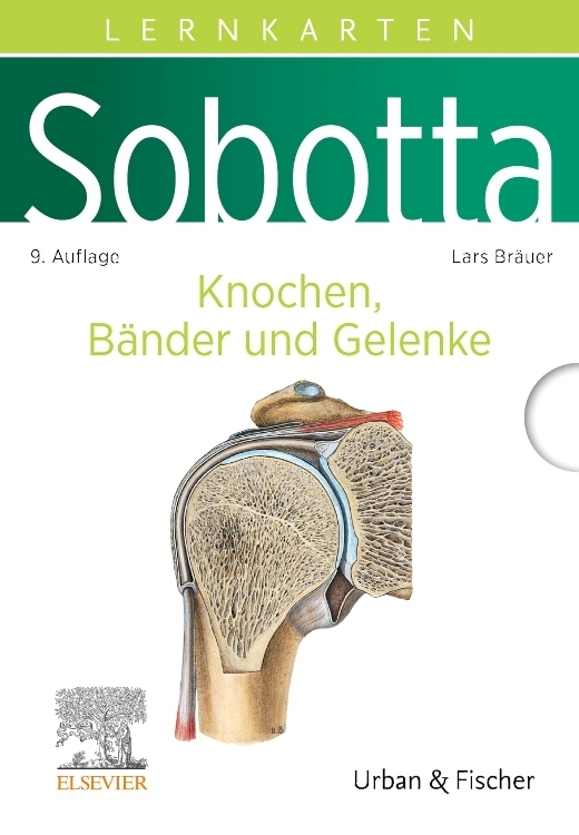 Sobotta Lernkarten Knochen, Bänder und Gelenke main product photo