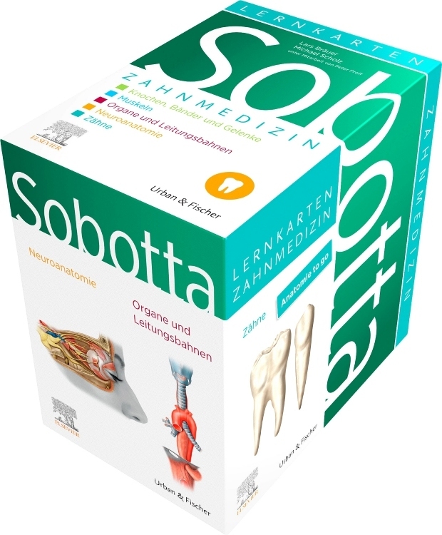 Sobotta Lernkarten Zahnmedizin main product photo