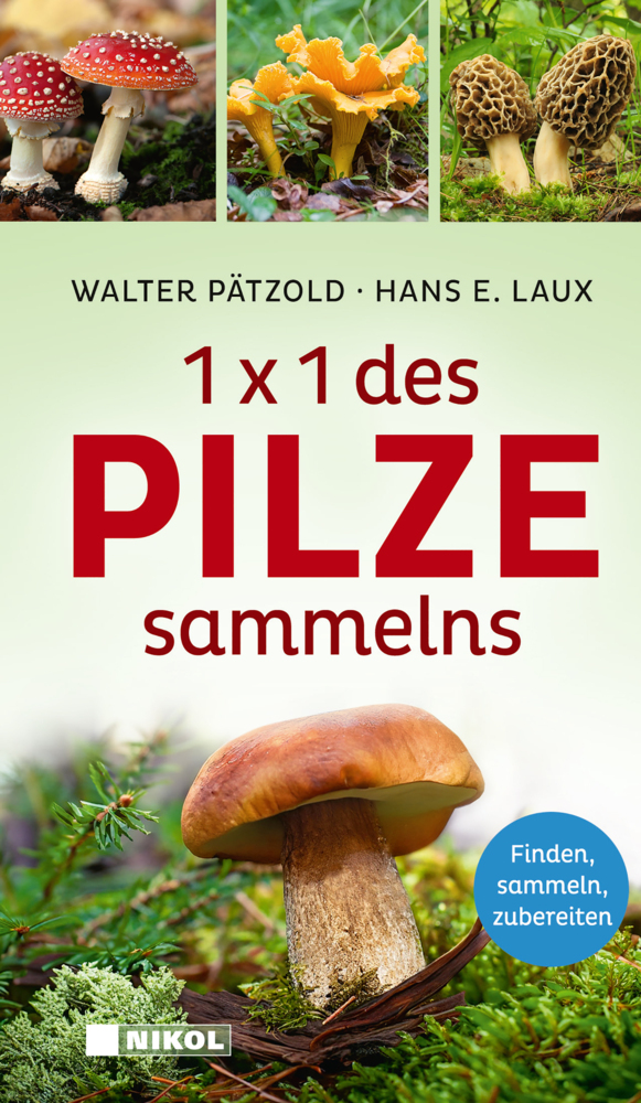 1 x 1 des Pilzesammelns main product photo