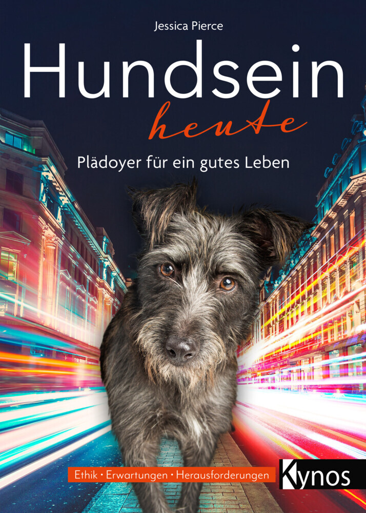 Hundsein heute main product photo