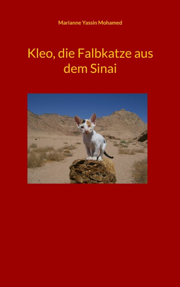 Kleo, die Falbkatze aus dem Sinai main product photo