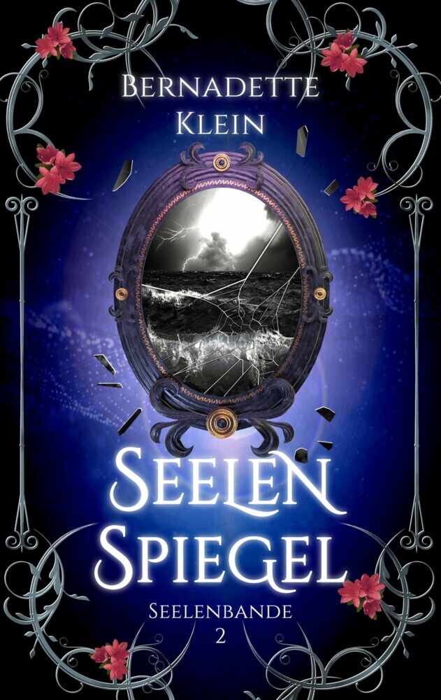 Seelenspiegel main product photo