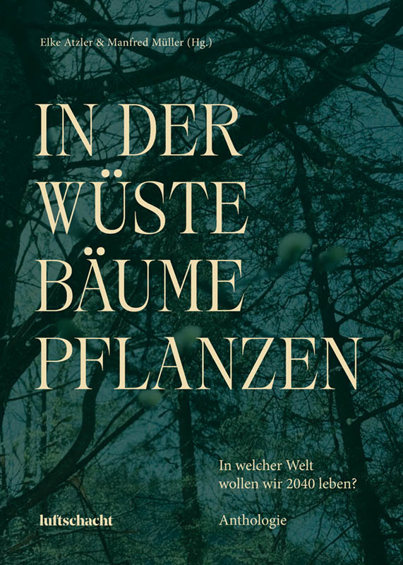 In der Wüste Bäume Pflanzen main product photo