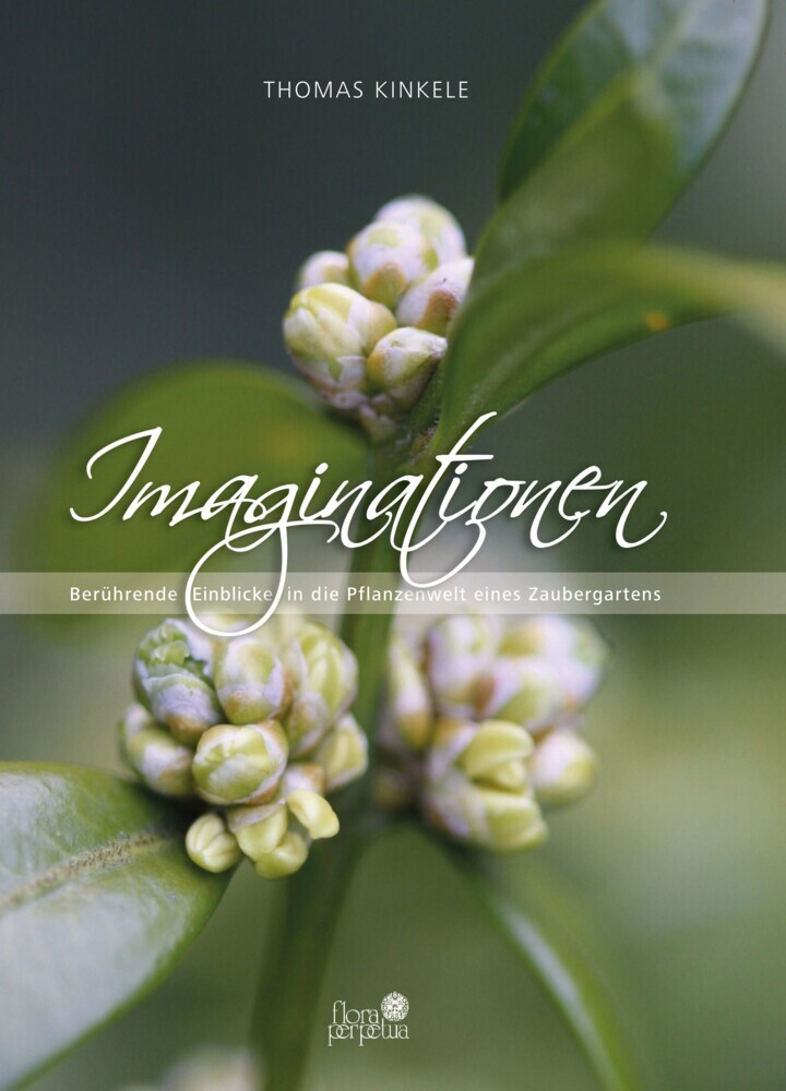 Imaginationen main product photo