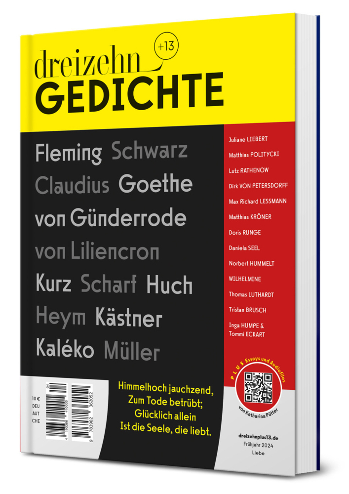 dreizehn +13 Gedichte main product photo