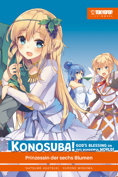 Konosuba! God's Blessing On This Wonderful World! Light Novel 06 main product photo